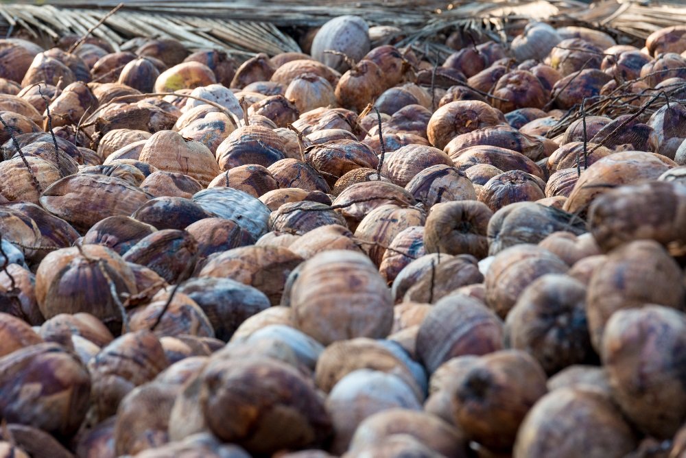 Gallery Coco House (Pvt) Ltd Organic Coconut & Coco Peat Products